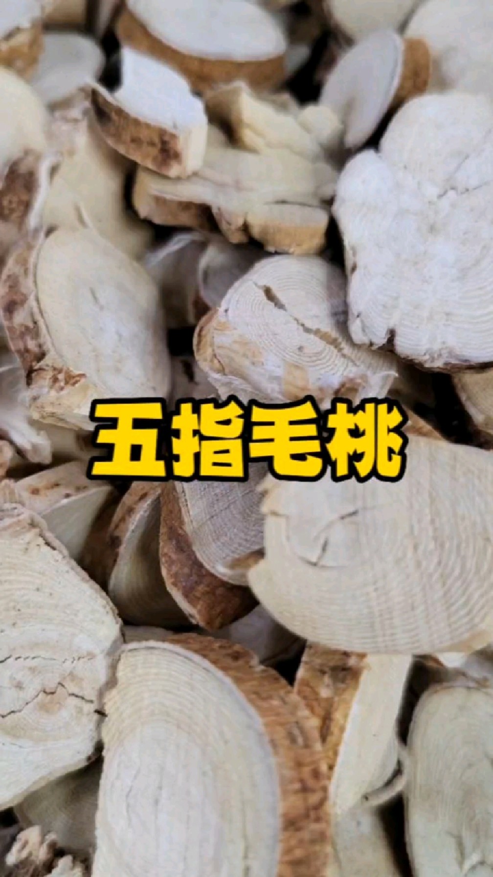 五指毛桃又叫南方黄芪,三个作用不可替代,五指毛桃加土茯苓强强联合