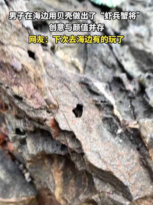 用贝壳做的虾兵蟹将,创意和颜值并存。