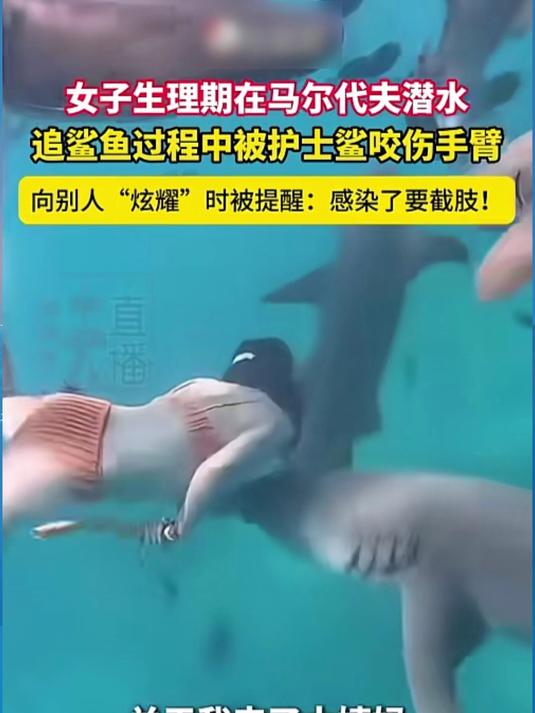 生理期潜水被鲨鱼咬伤!双重免疫漏洞易诱发盆腔炎