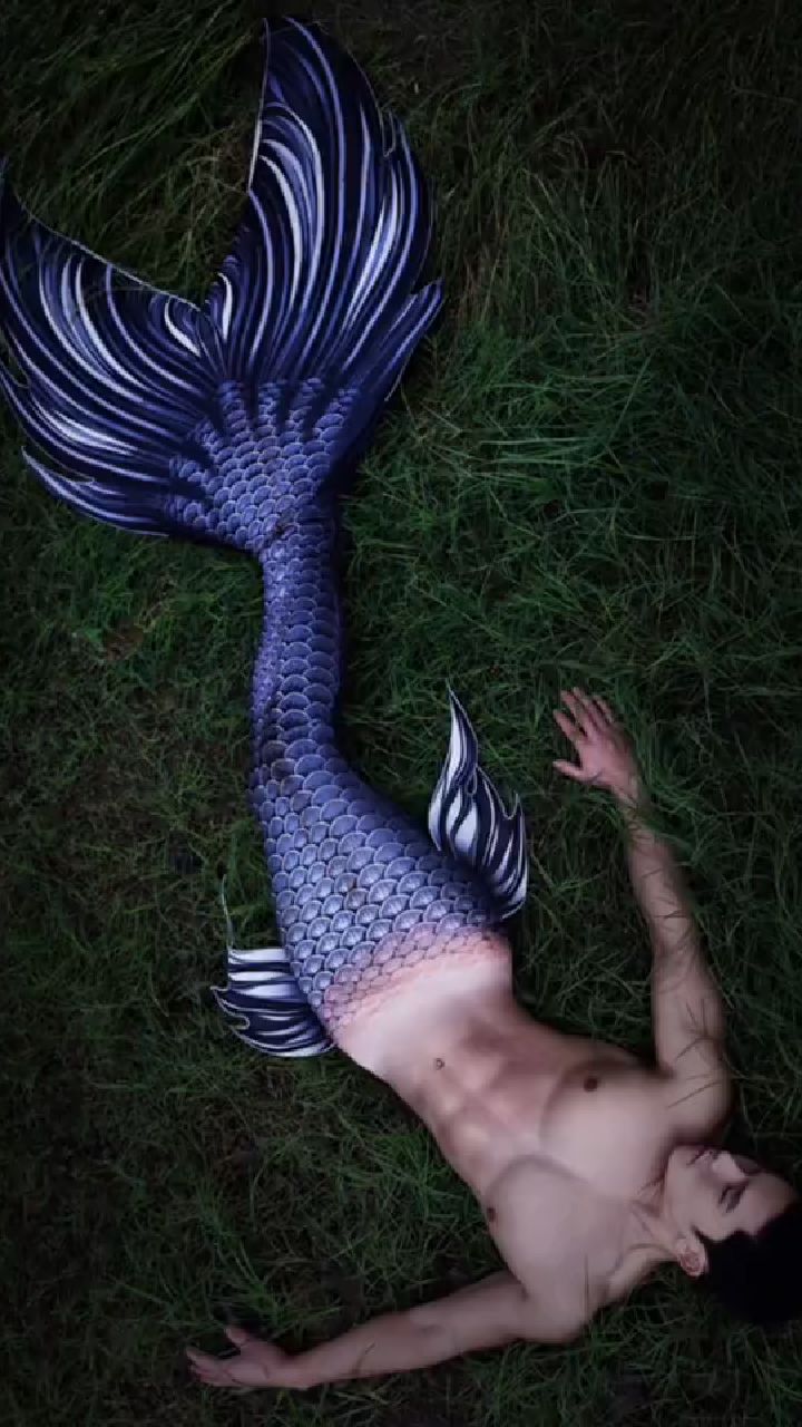 肌肉男人鱼|谁来帮一下搁浅的美人鱼