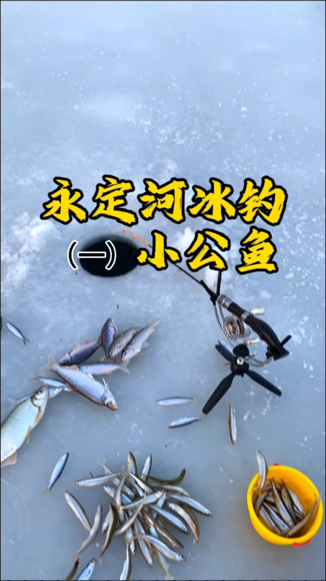 永定河冰钓小公鱼(一)