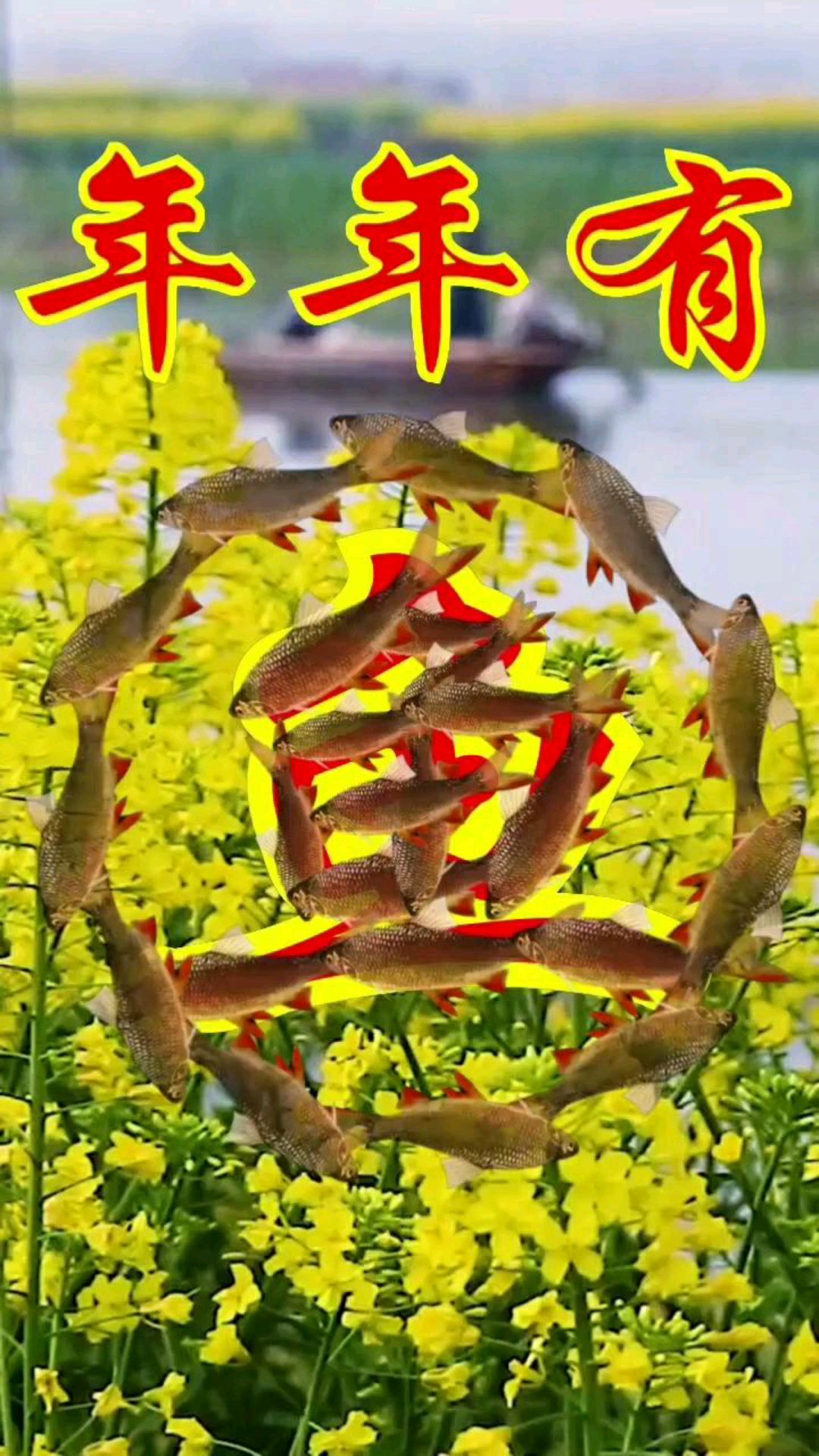 年年有余,年年有鱼,祝大家新的一年发财!