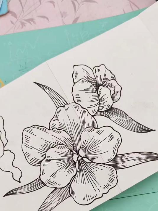 黑白线描画