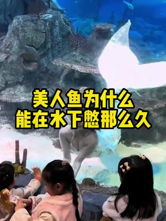 美人鱼扮演者为什么可以在水下待那么长时间