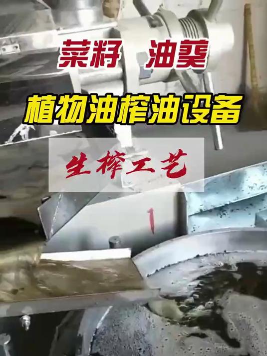菜籽 油葵植物油榨油设备生榨工艺