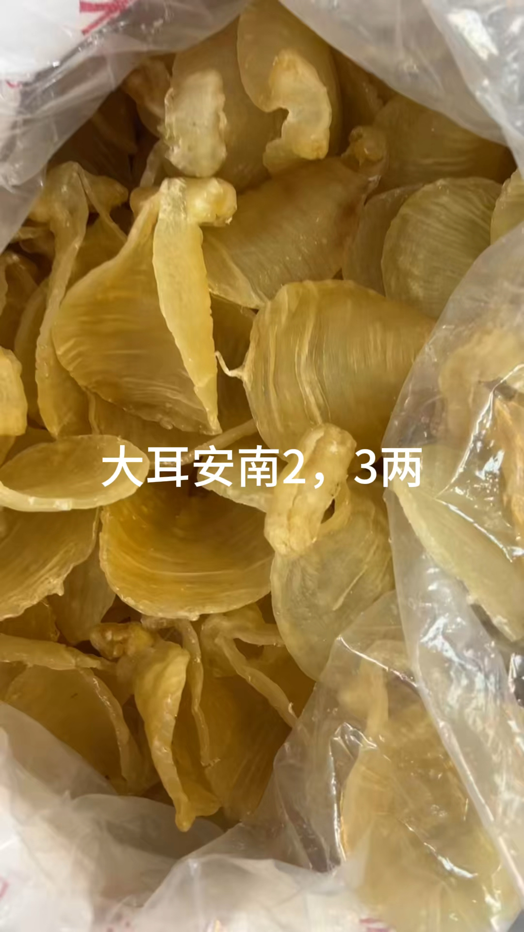 新加坡鳝鱼肚,顺风片,巴西北海母,雪鱼胶!