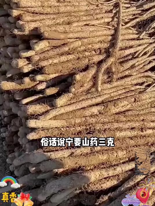山药春饼皮薄筋道,加热即食,卷菜卷肉都好吃,早餐超方便!#美味#
