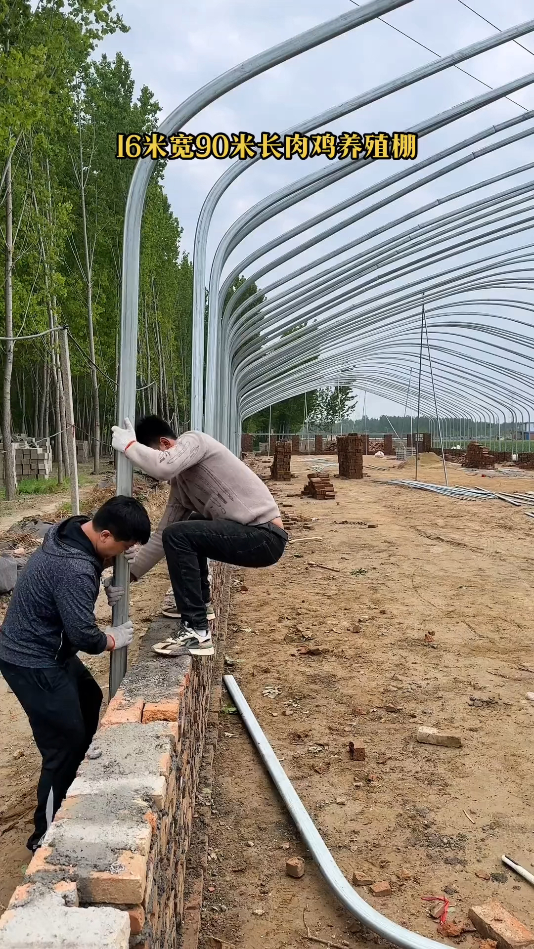 养殖路上的好搭档