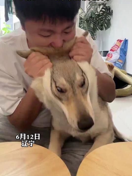 男子和狗狗“互咬”,没想到把狗狗都拽出表情包了