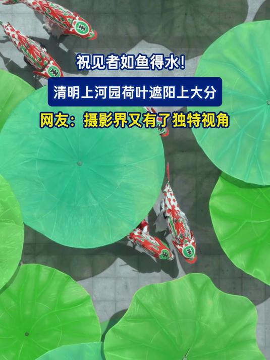 祝见者如鱼得水！清明上河园荷叶遮阳上大分，网友：摄影界又有了独特视角#这夏就出发#