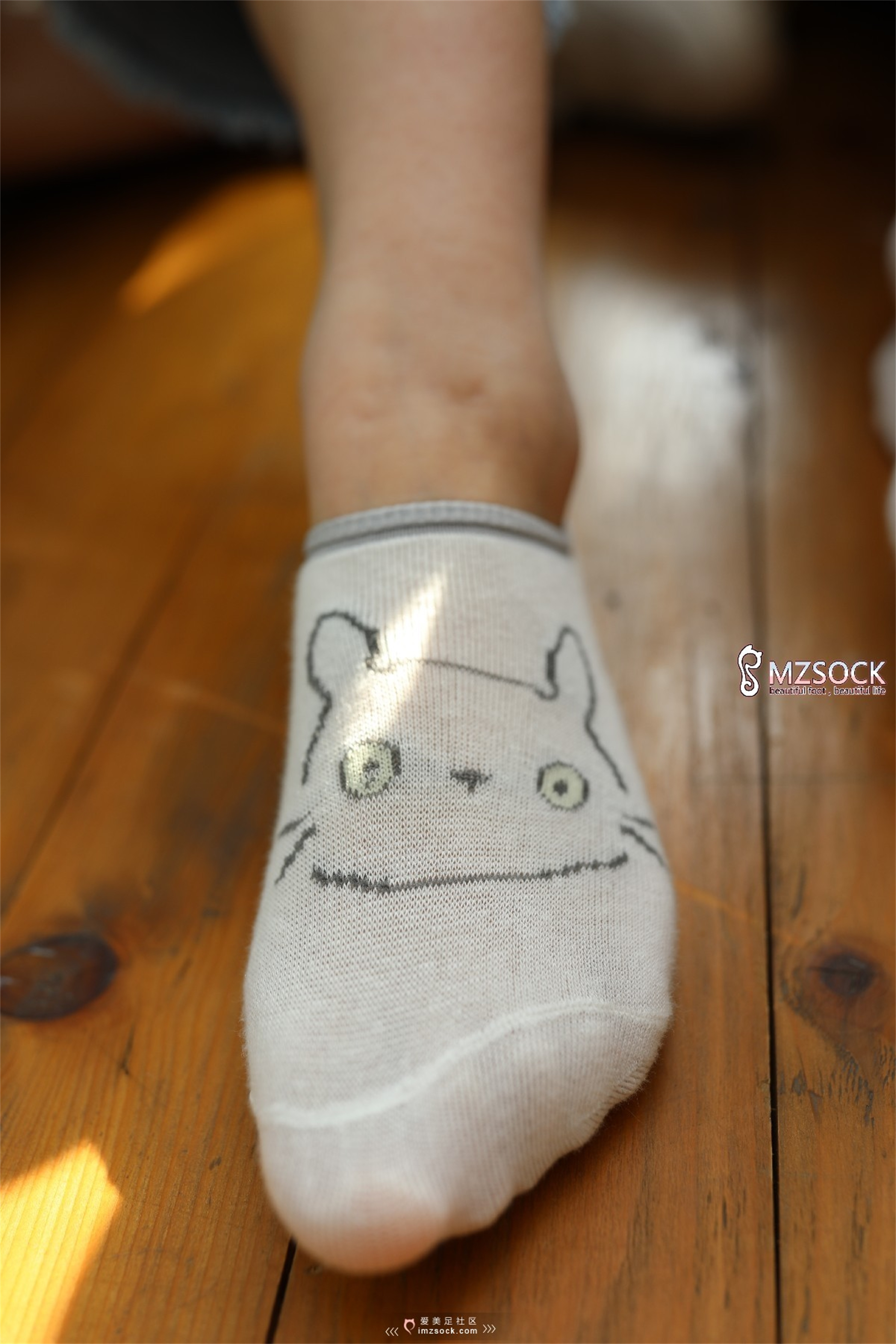 图片[104]-[MZSOCK]爱美足 NO.003 肖弧&佳妹[132P311M]-六色网