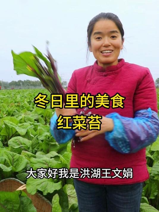 冬日里的美食红菜苔