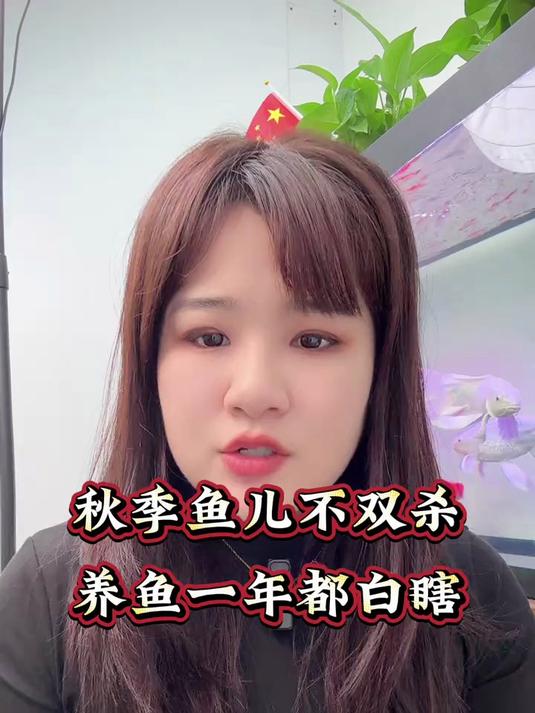 秋季养鱼不双杀,养鱼一年到头白瞎