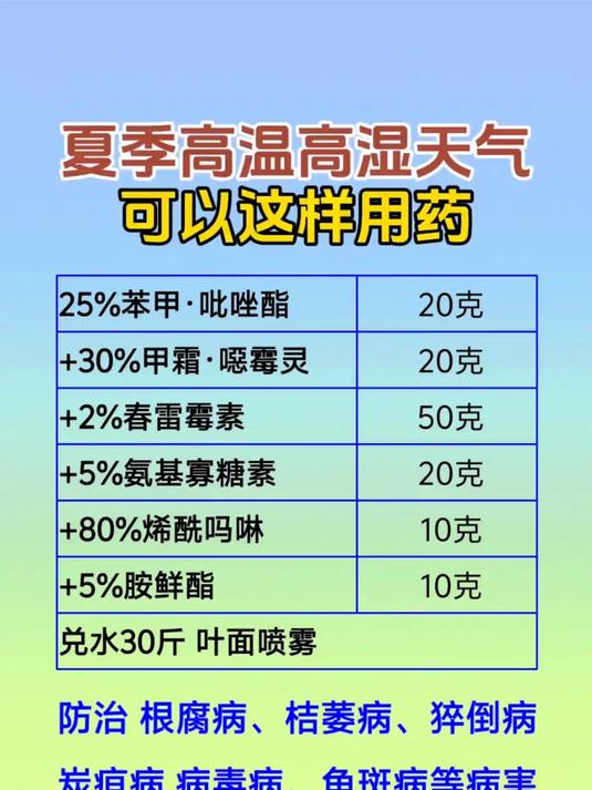 辣椒种植 蔬菜种植基地中药材种植 夏季高温高湿天气可以这样用药