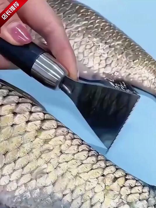 不锈钢鱼鳞刀既能开鱼肚又能刮鱼鳞,方便又实用