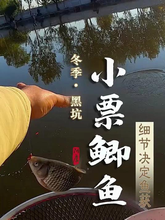 冬季黑坑小票鲫鱼细节决定鱼获