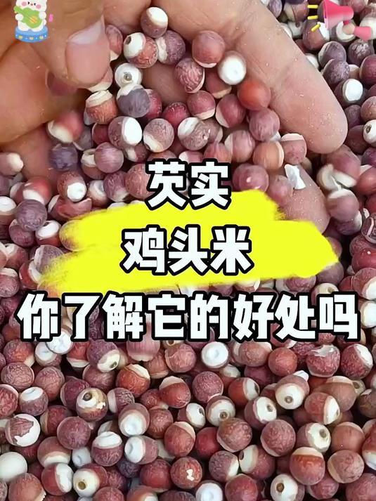 软糯香甜,营养好吃的 鸡头米 芡实