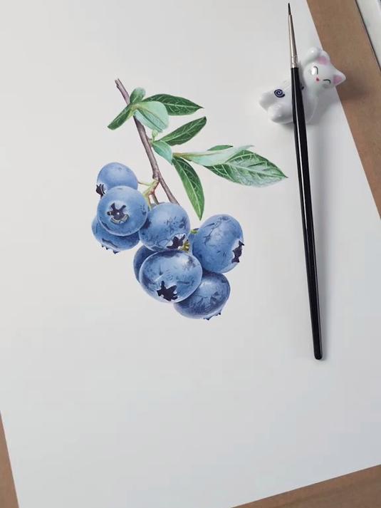 如何用水彩画蓝莓