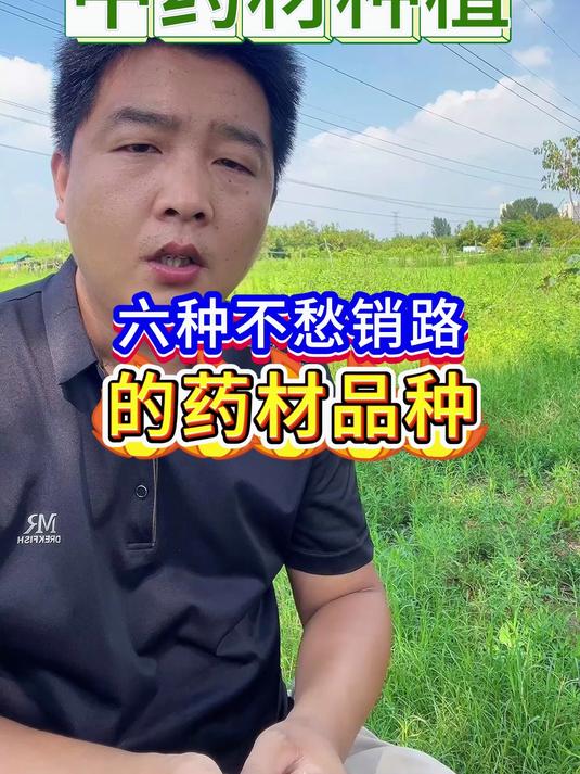 六种不愁销路的药材品种