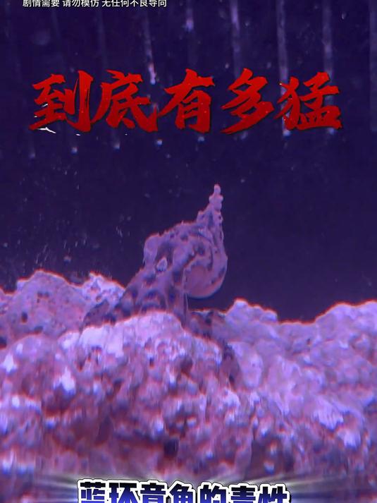 被蓝环章鱼咬过的猎物还能活多久?