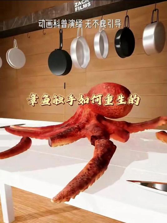 章鱼触手如何重生的