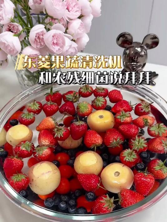 从菜市场买一些嫩生生的菜,一定要放进食材净化机里清洗更放心