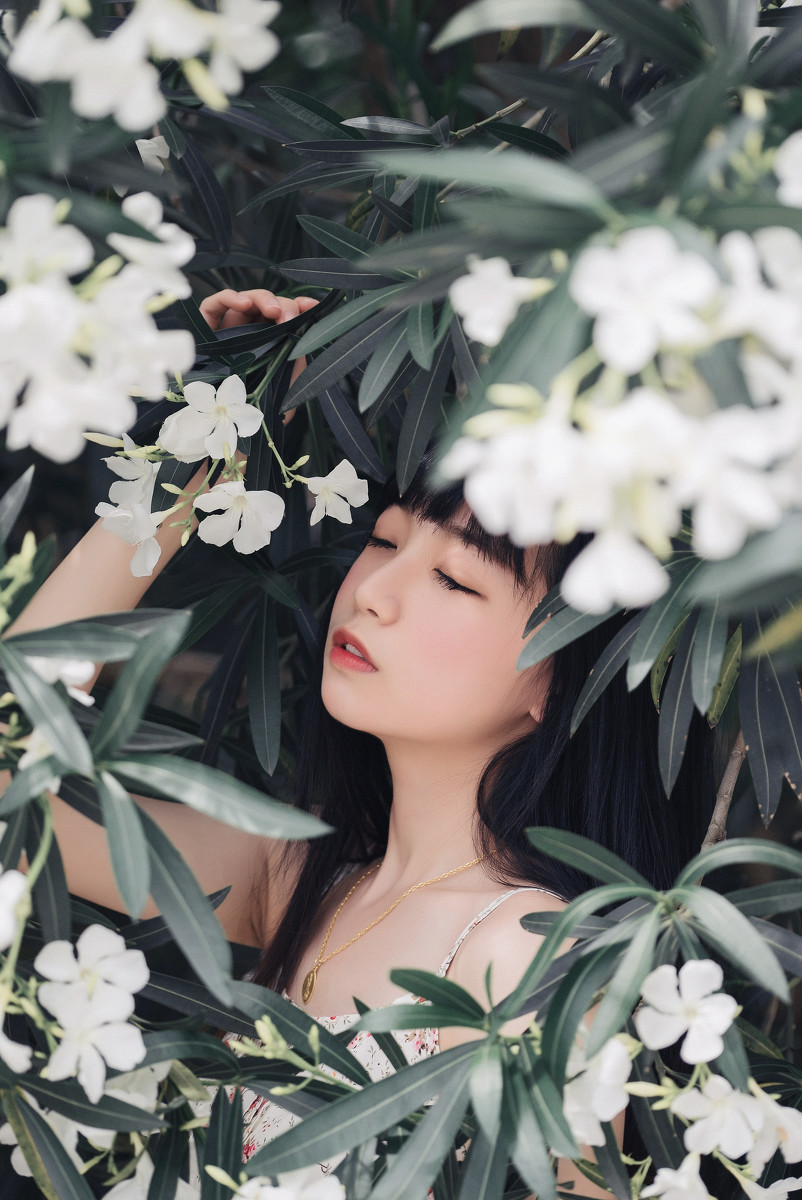 图片[5]-夹竹桃的秘密-六色网