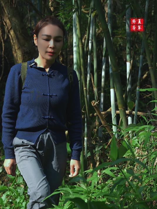 鸭舌草:本草大师姐