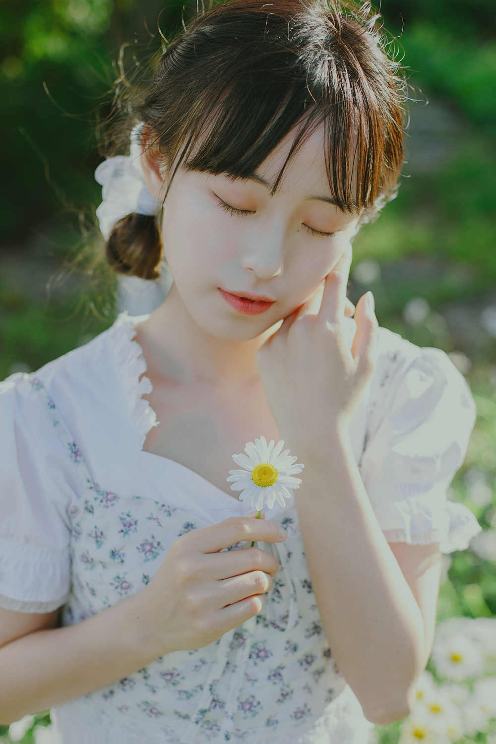 图片[13]-初夏の小雏菊Ⅰ-六色网