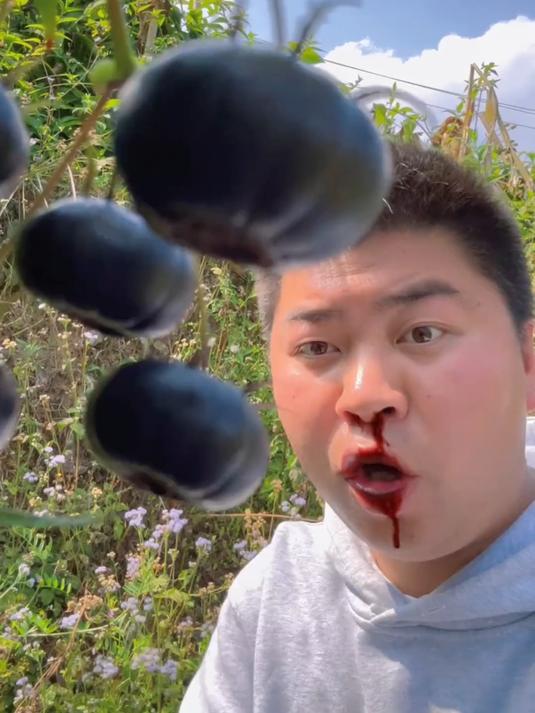 哭了!山里烂满地的红果参,5 块钱一斤没人要,真的太可惜了!
