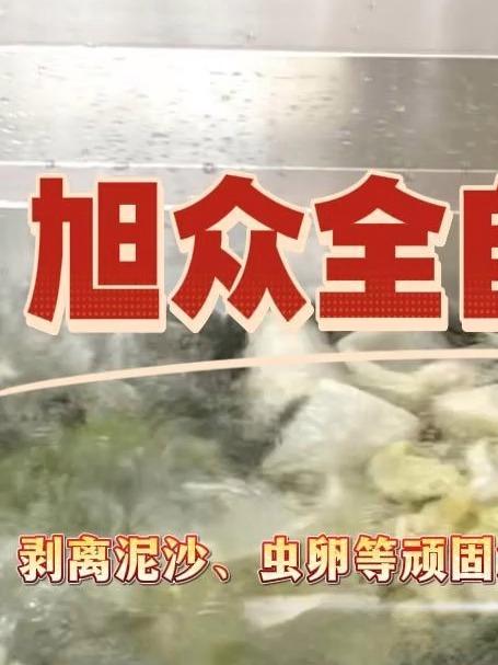 「从泥土到餐桌,一步洁净:家用 / 商用洗菜机实测」