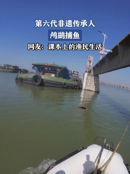 第六代非遗传承人,鸬鹚捕鱼,网友:课本上的渔民生活