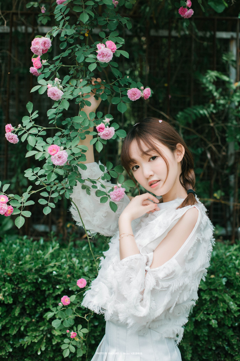 图片[14]-The rose in the wind-六色网