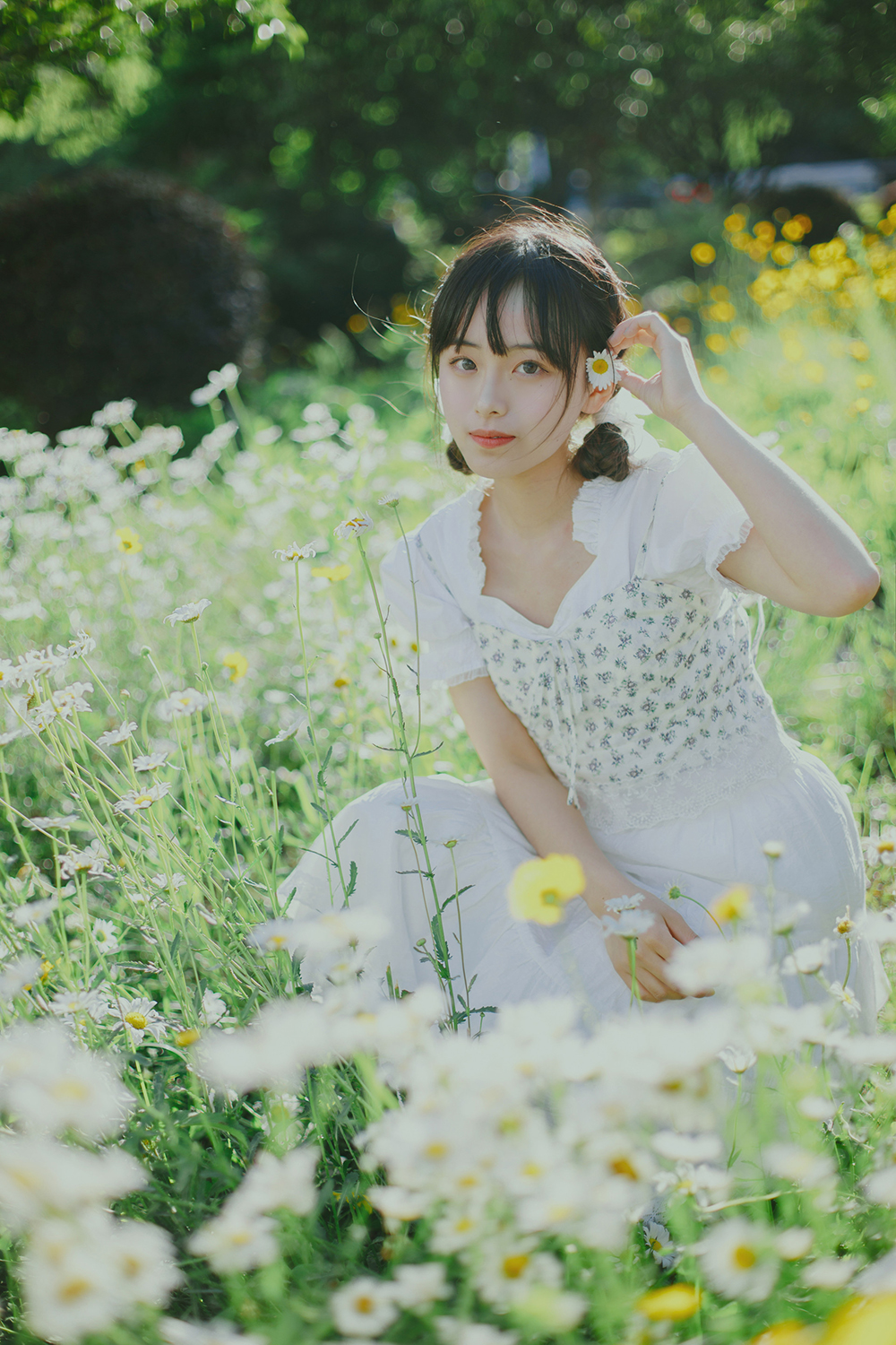 图片[13]-初夏の小雏菊Ⅱ-六色网