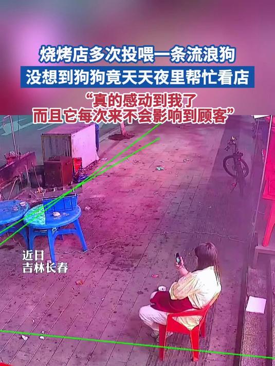 烧烤店多次投喂一条流浪狗 没想到狗狗竟天天夜里帮忙看店“真的感动到我了 而且它每次来不会影