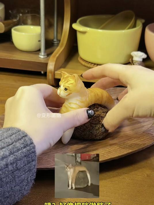 泰式咸法酪可可泡芙猫猫