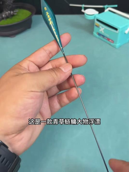 浮漂不一定要买贵的,但一定要选对的。钓鲫鱼鲤鱼草鱼不会选浮漂的钓友千万不要错过这款#钓鱼#