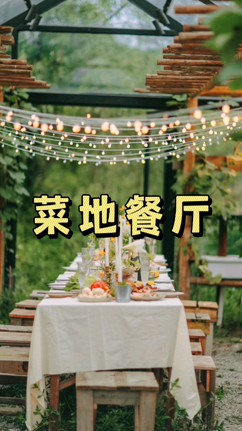有创意的菜地餐厅