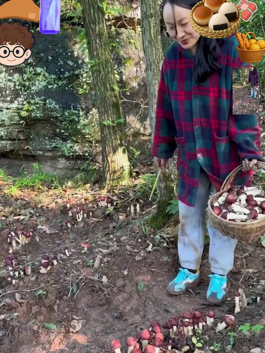 赤松茸肉质肥厚脆嫩,鲜香浓郁,煲汤炒菜都超鲜,全家都爱吃#美食#
