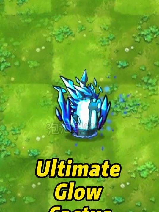 终极幽光仙人掌好强一二创植物!