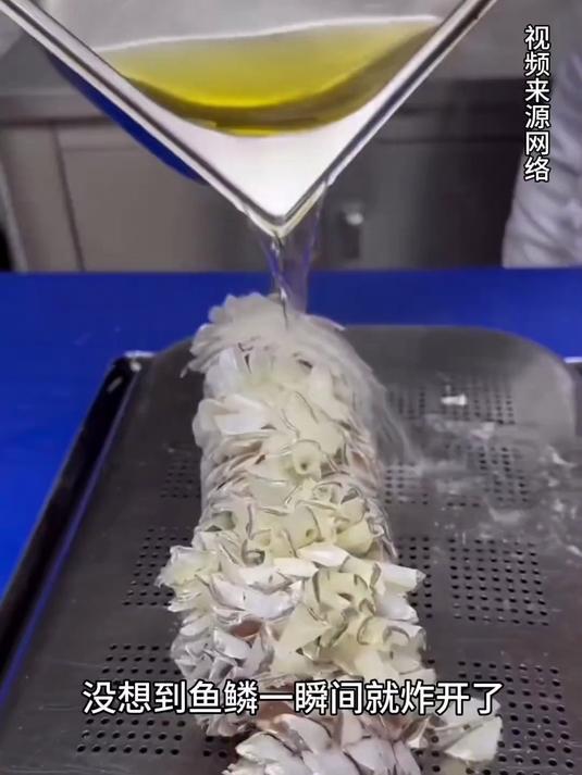 304不锈钢新款鱼鳞刮鳞器家用去鱼鳞刨工具杀鱼神器家用刮鱼鳞器