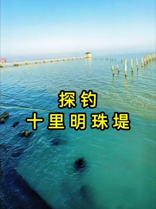 探钓无锡太湖十里明珠堤，旁边钓友连杆激浪鱼