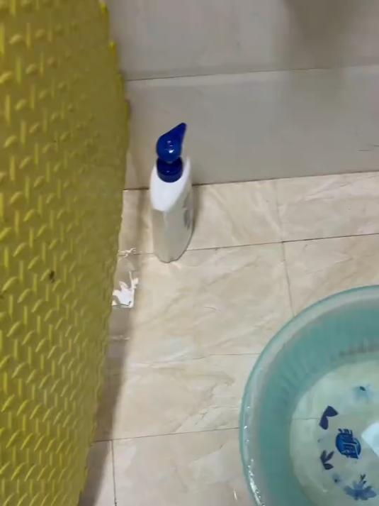 小鸭子奋力的去吃小鱼