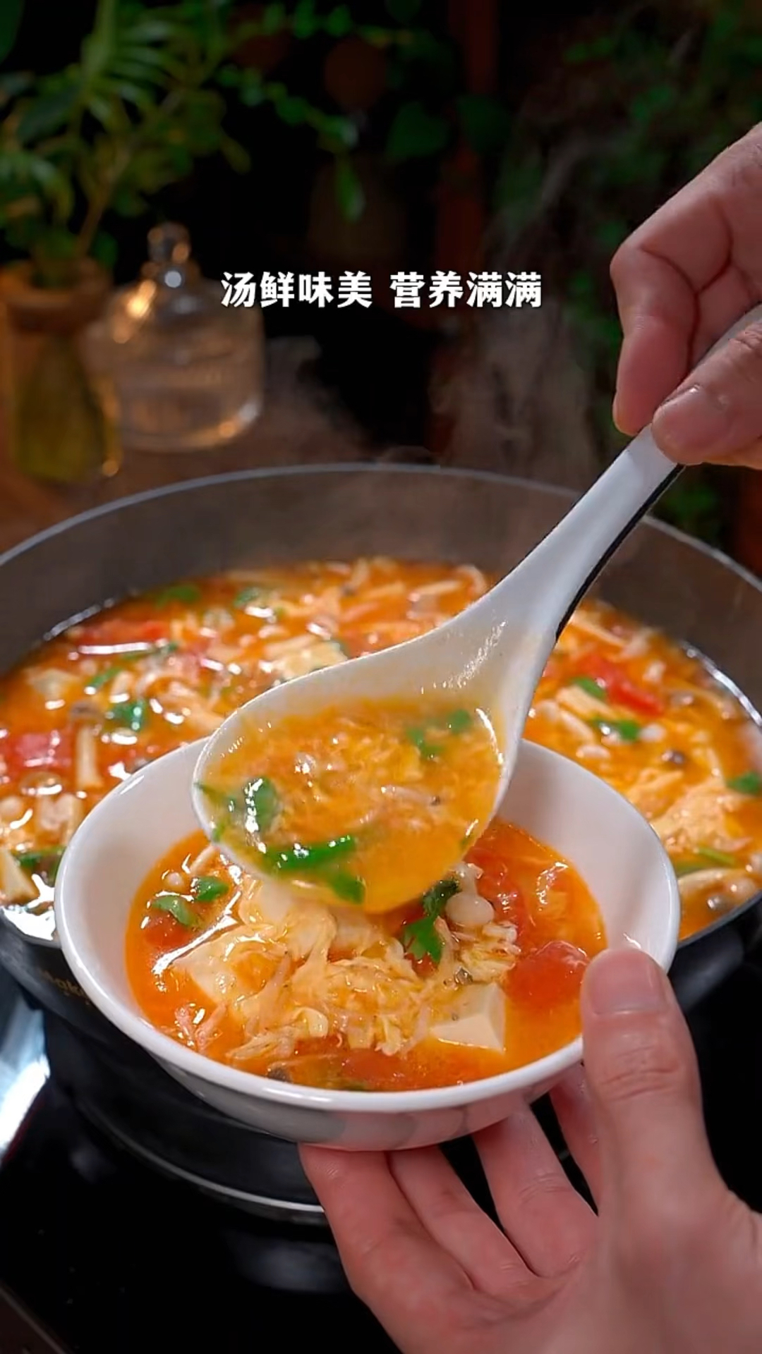 番茄豆腐汤的家常做法