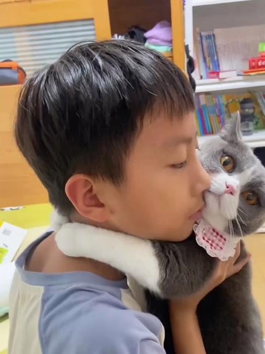 天呐!猫咪泡芙与小孩哥的故事甜炸了全网
