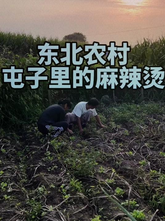 东北农村生活屯子里的麻辣烫
