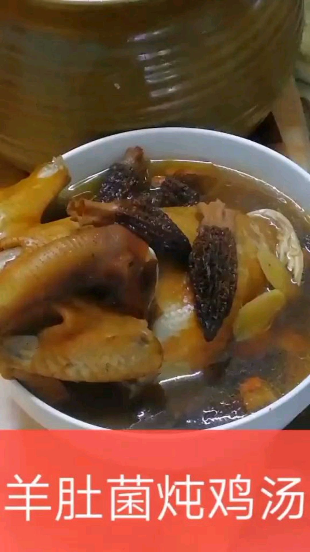 羊肚菌美食分享,清炖土鸡