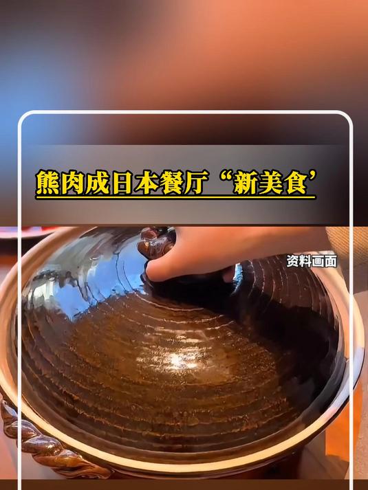 日本熊灾频发,熊肉成日本餐厅“新美食”