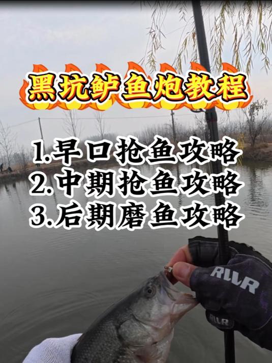 路亚黑坑鲈鱼前中后期保姆级教程 新手路亚黑坑鲈鱼