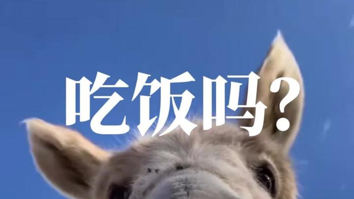 吃饭吗?吃正宗潮汕菜认准峪园哦